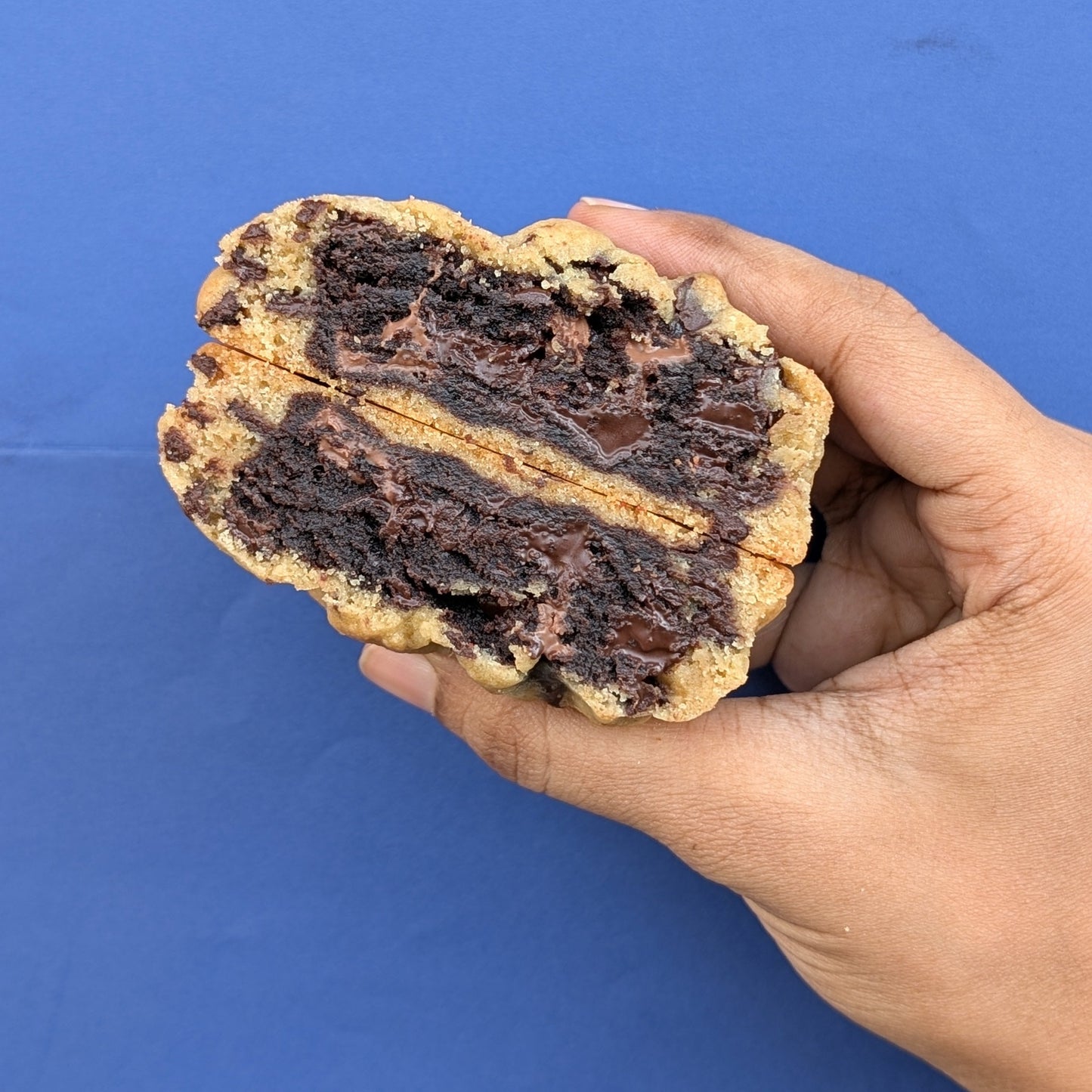 Brookie - Chonk Cookies