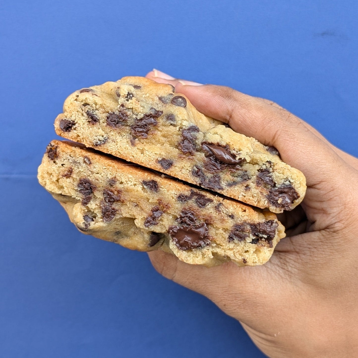 Chocolate Chip - Chonk Cookies